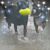 Foto von Dionne Payne
