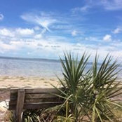 Jane Gallagher's photo