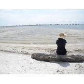 Stacy ONeill's photo