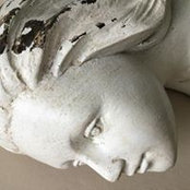 Susan Moore's photo