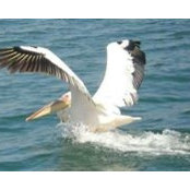Foto von Winnie Thekiso