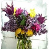 Edward Lougee's photo