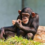 Donny Hegge's photo