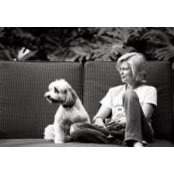 Lisa Tyson Sandefer's photo