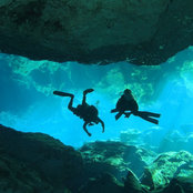 Lisa Boucher's photo