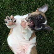 Brenda Bremner Clark's photo