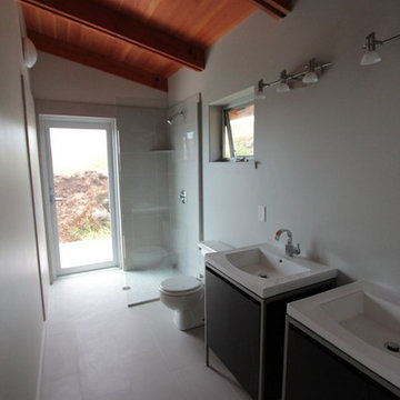 House Remodel - Waimea