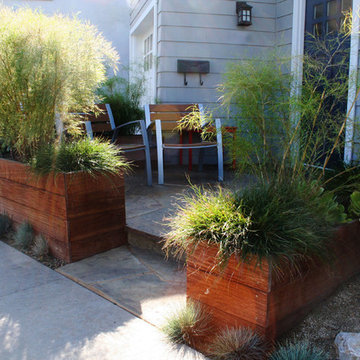 Coronado Lawn Replacement