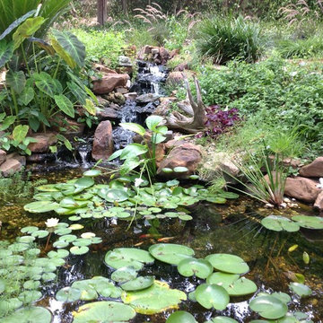 Doss Pond