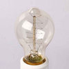 40 Watt Vintage Edison Light Bulb,A19 Radio Style Spiral Filament, Set of 10