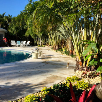 Tropical Pool Landscapes