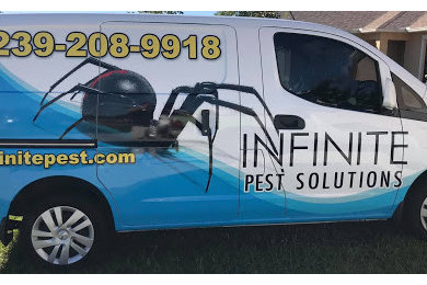 Infinite Pest Solutions