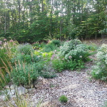 Naturescape and Edible Forest Garden