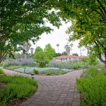 Brick Walkways