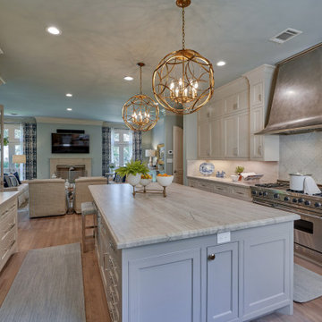 Graceful & Elegant Whole Home Renovation