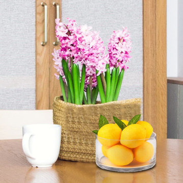 Serene Spaces Living Clear Round Glass Bowl, Single