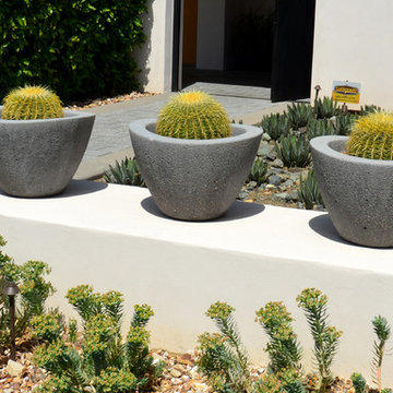 Southwestern Plants