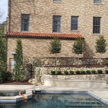 Backyard landscaping