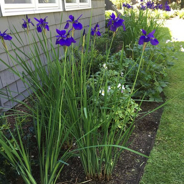 Paths, Patios, & Gardens