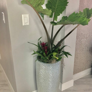 Live plants breathe life into a space don't they?