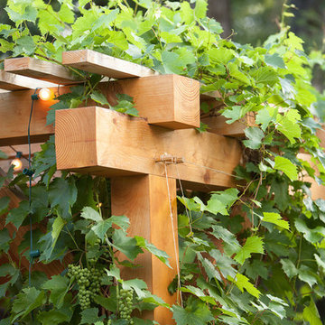 Smith Pergola