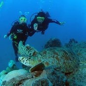Irina Cruz's photo