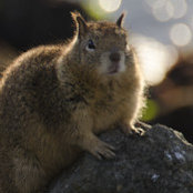 Michael Green's photo