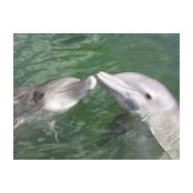 Radina Markova's photo