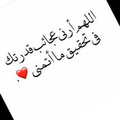 Aya Said's photo