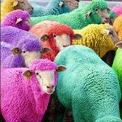 Kitty Ahners foto