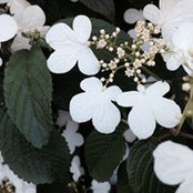 Linda Wright's photo