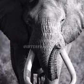 Luis Regueira's photo