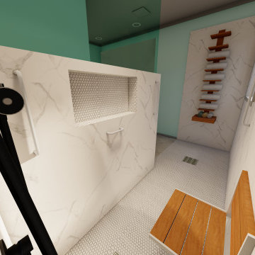 Handicap Bathroom Reno