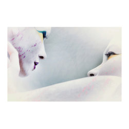 ' I' VE SEEN THINGS ' - Fine Art Prints