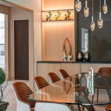 Burr Ridge Remodel - Where Art Meets Form: A Pininfarina Dining Experience