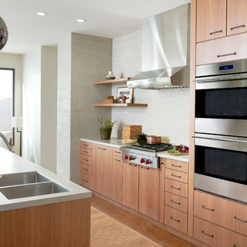 Wolf 30" Built-In E Series Transitional Double Oven, DO30TE/S/TH