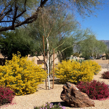 Southwestern Plants