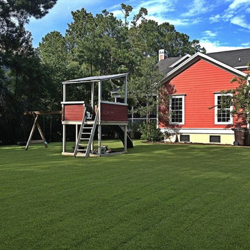 EMPIRE Zoysia
