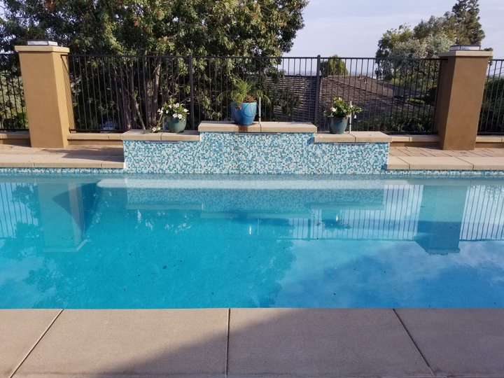 Beach Style Pool - Privacy