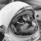 Darin Elliott's photo