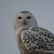 Danielle Bergeron's photo