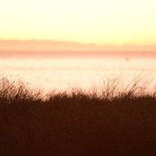 Eran Gilad's photo