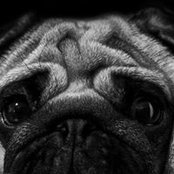 Елена Савельева's photo