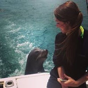 Erica Sheehan's photo
