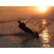 Daniel Wallace's photo