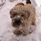 Michael White's photo
