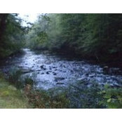 Rex White's photo