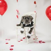 Michelle Fendrick's photo