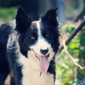 Foto von Sally Taylor