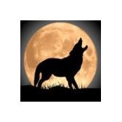 David Cuddy's photo
